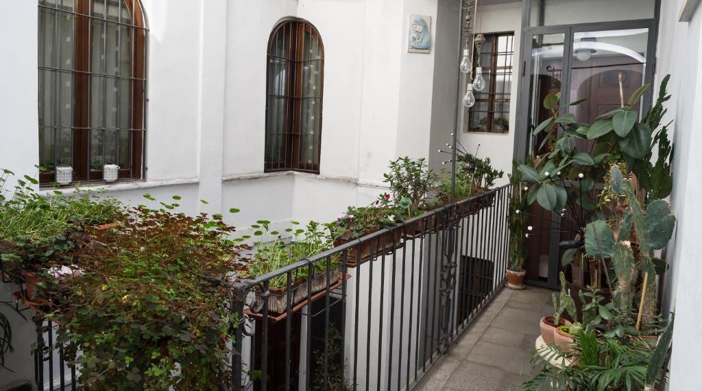 Balkón nebo terasa v ubytování In pieno centro storico Ca Marì e Casa Elena