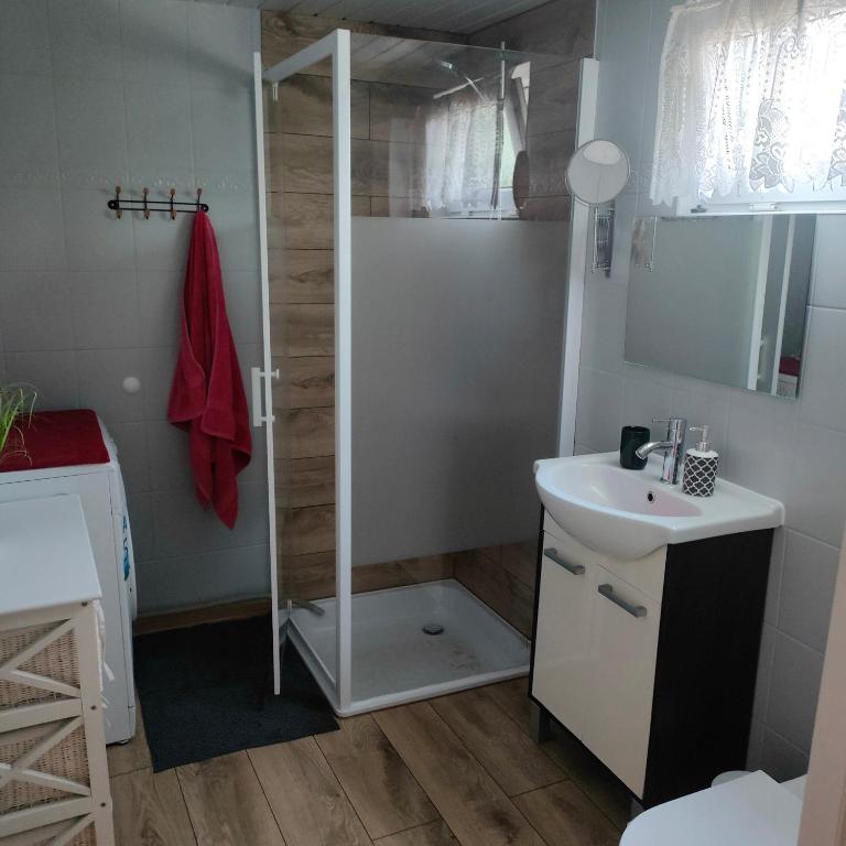 W łazience znajduje się prysznic i umywalka. w obiekcie Domek w Sławie przy jeziorze na Galerach w Sławie