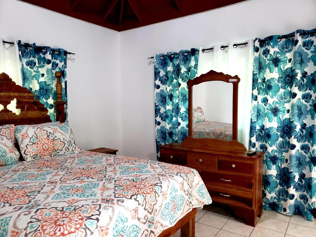 - une chambre avec un lit, une commode et un miroir dans l'établissement Cozy Apartment Greenwood, à Montego Bay