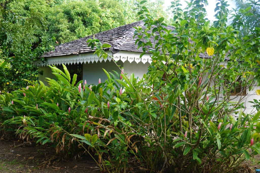 a small house in the middle of a garden at Hôtel Atiapiti in Opoa