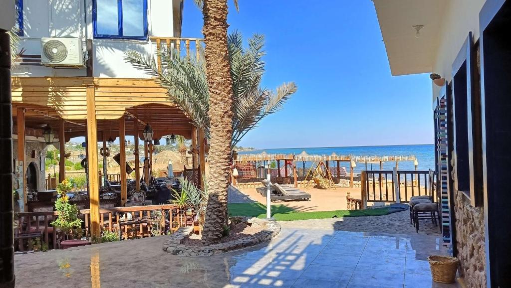 - un palmier sur une terrasse à côté de la plage dans l'établissement Blue Bus Camp Resort, à Nuweiba