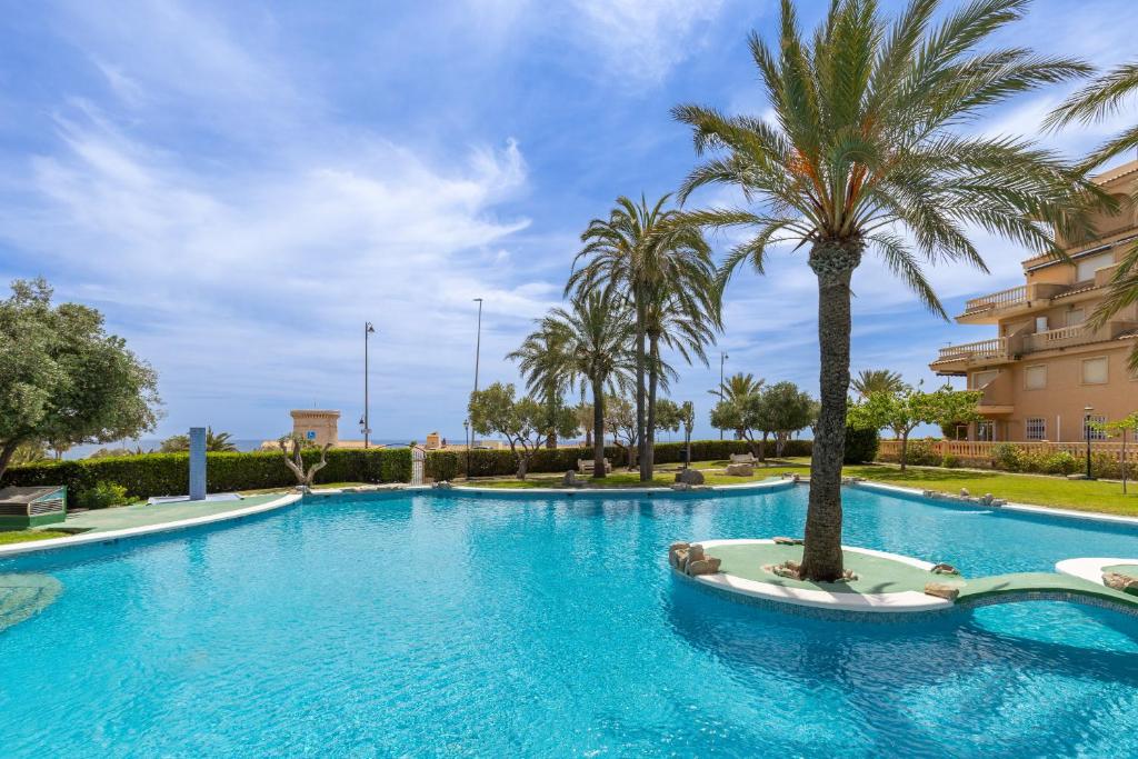 een zwembad met een palmboom in een resort bij Sea Soul by Fidalsa in El Campello