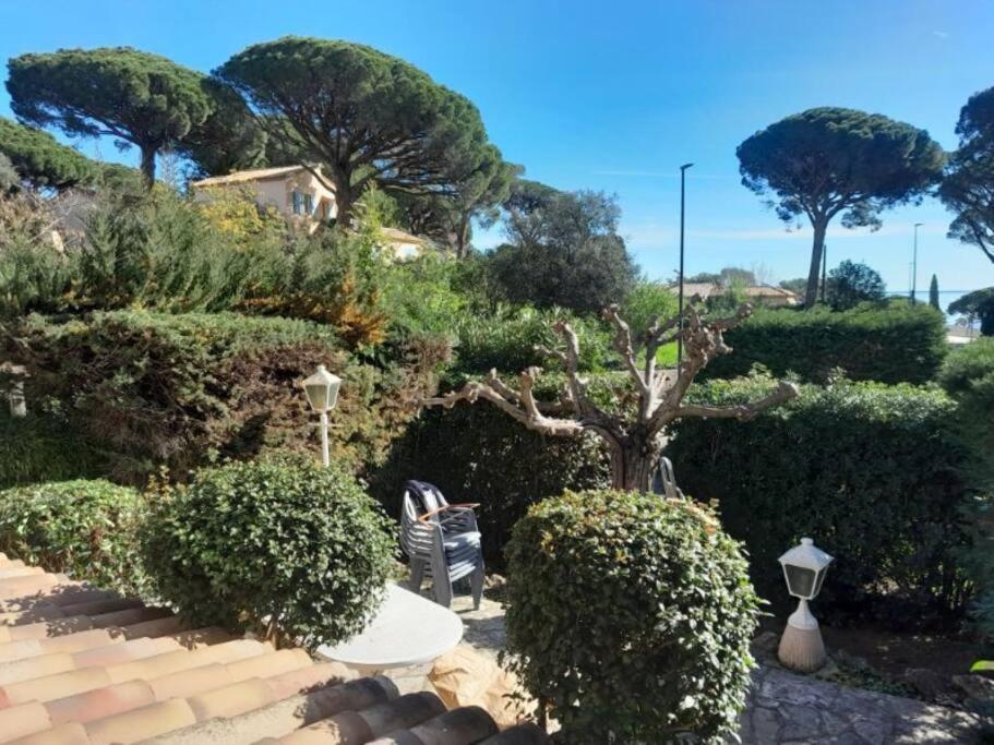 un jardin avec des buissons, un arbre et des escaliers dans l'établissement Évasion Mer & Soleil - Piscine !, à Sainte-Maxime