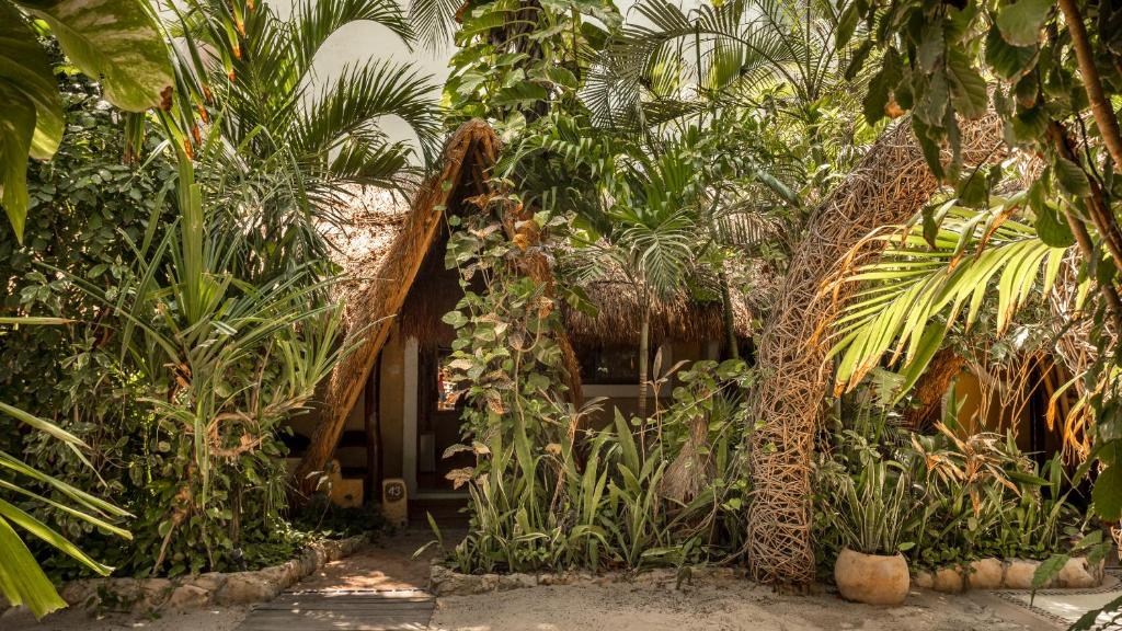 Hotel Casa Colibri photo