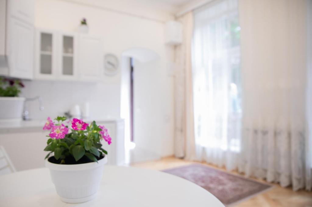 een witte kamer met een potplant op een tafel bij Світла затишна квартира в центрі біля Оперного театру з балконом, який виходить у тихий львівський дворик in Lviv