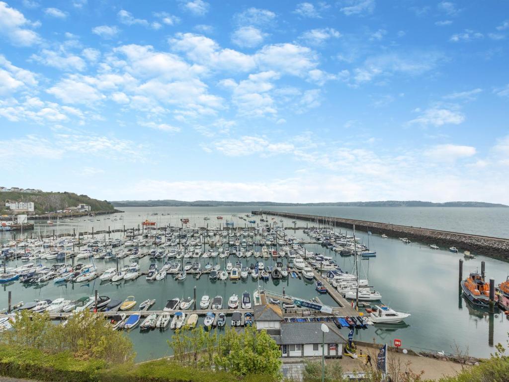 a marina with many boats in the water at Poppin-uk47165 in Brixham