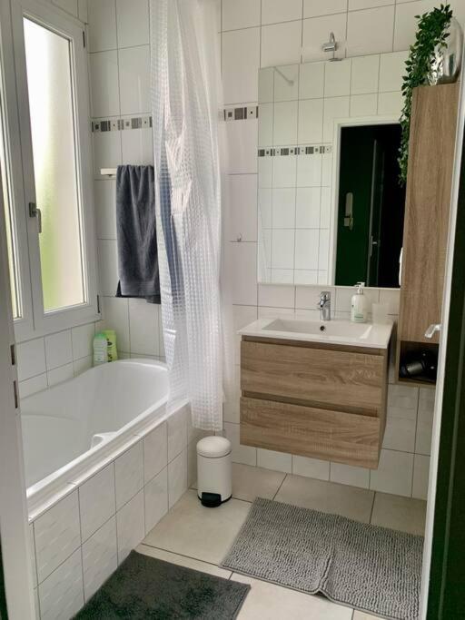 Koupelna v ubytování Charmant appartement