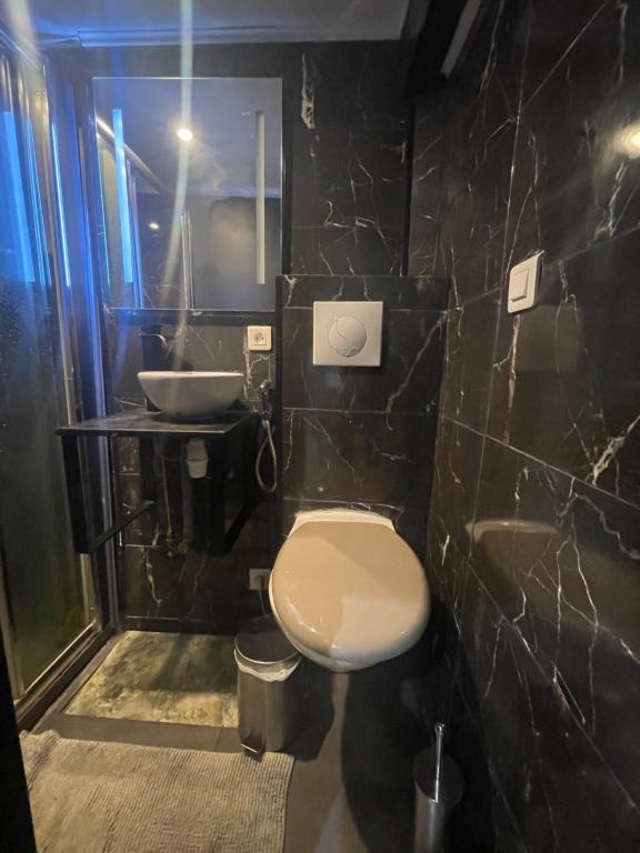 a bathroom with a toilet and a sink at Studio fonctionnel &amp; central proche paris in Villeneuve-Saint-Georges