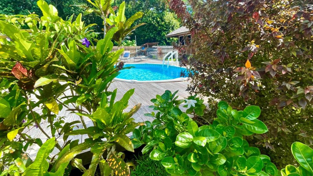 uma piscina no meio de um jardim em RAIATEA - Orion Pool Bungalow em Uturoa