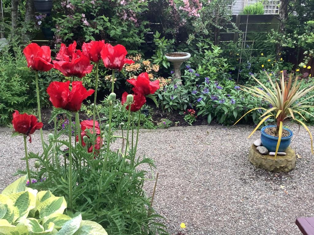 um jardim com flores vermelhas e outras plantas em The Garden Flat em Crieff