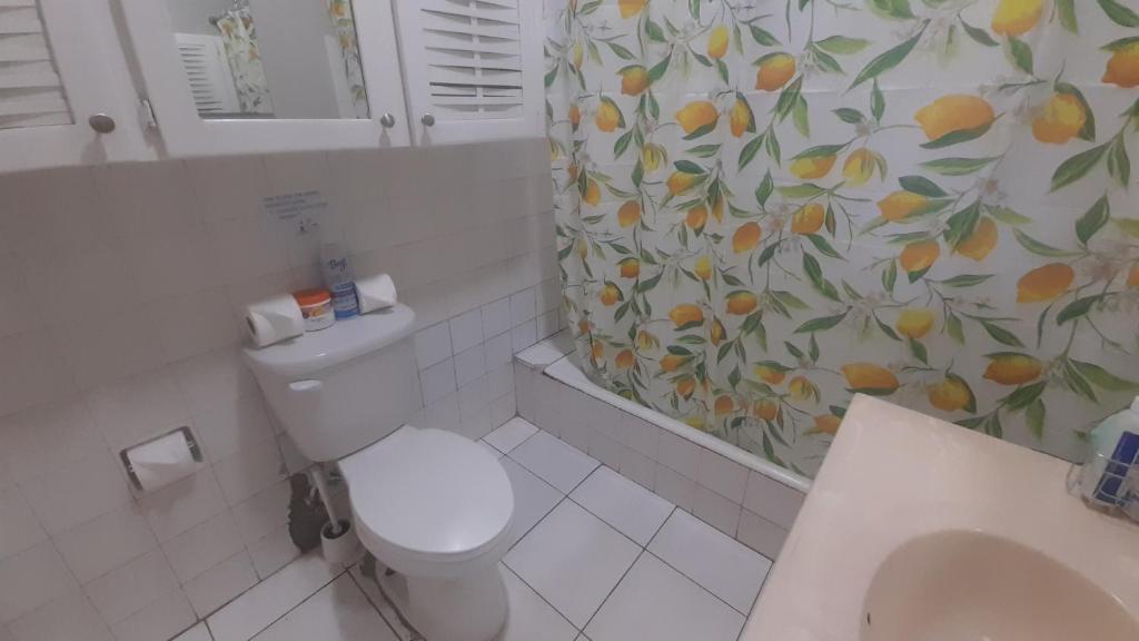 a bathroom with a toilet and a shower curtain at Kgn6 in Kingston