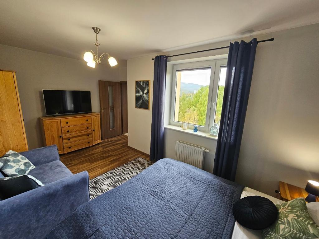TV a/nebo společenská místnost v ubytování Apartment Panorama Wisła