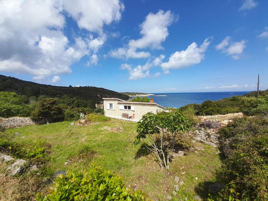 una casa en una colina con el océano en el fondo en Moja posebna kuća na osami kraj mora, en Vis