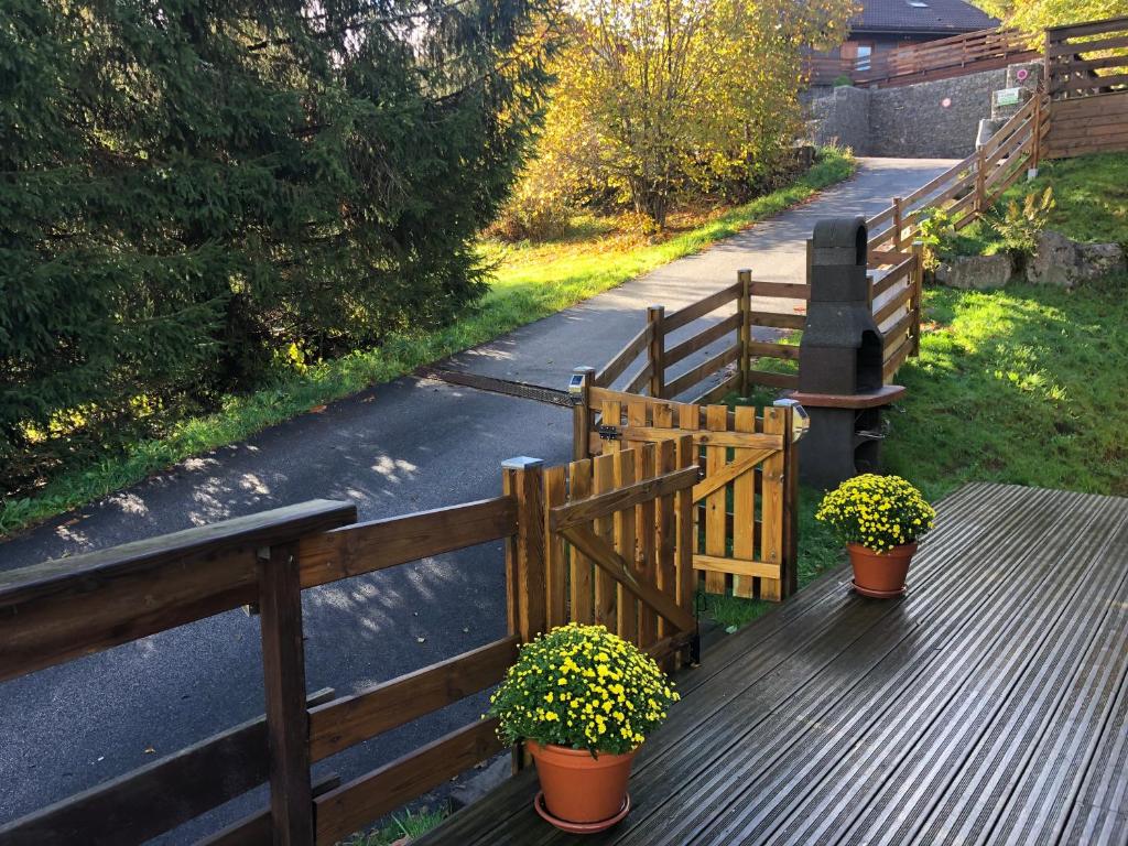 Zahrada ubytování Chalet LE TREMPLIN - wifi, BBQ, parking