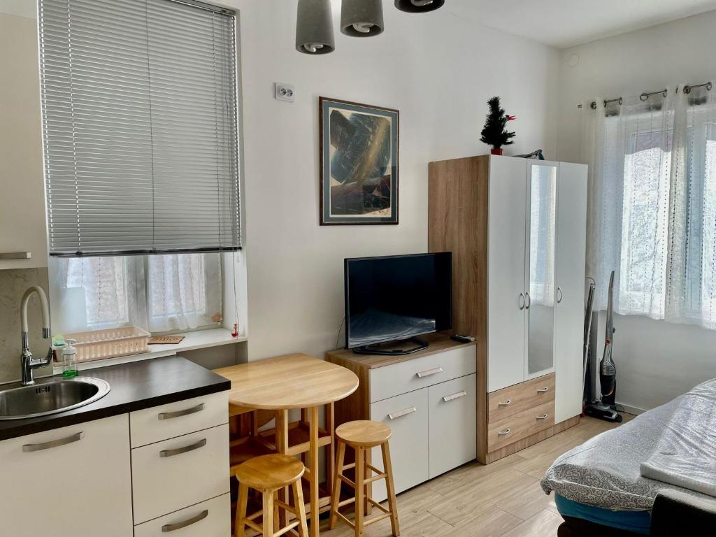 een keuken met een wastafel en een tafel met een televisie bij Apartments Ines - cozy studio in Zagreb