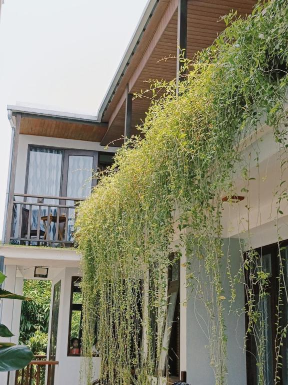 Vườn quanh Riverside Plum Garden Villa