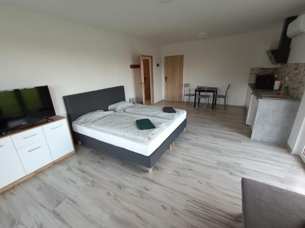 TV a/nebo společenská místnost v ubytování Apartamenty Kwiat Jabłoni