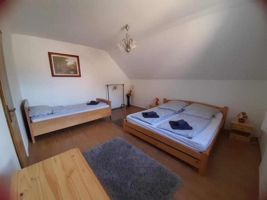 1 Schlafzimmer mit 2 Betten und einem Tisch in der Unterkunft Tiszavíz Vendégház in Tiszafüred