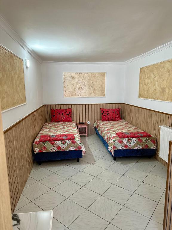 Hanul Lui Ionut - Resim 13