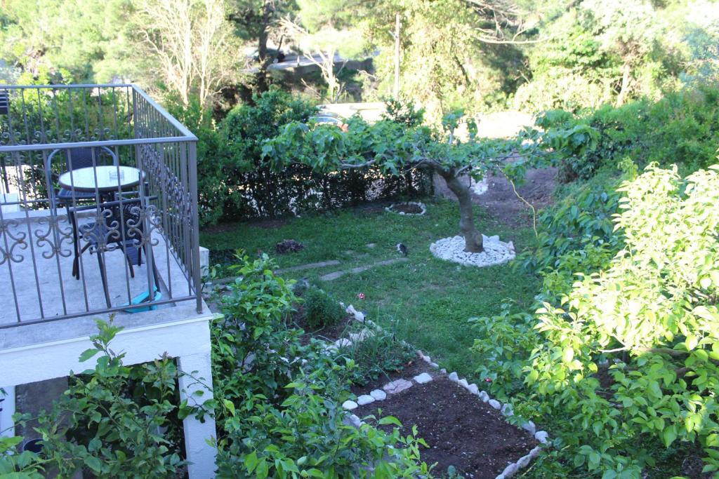 Zahrada ubytování Villa Lime
