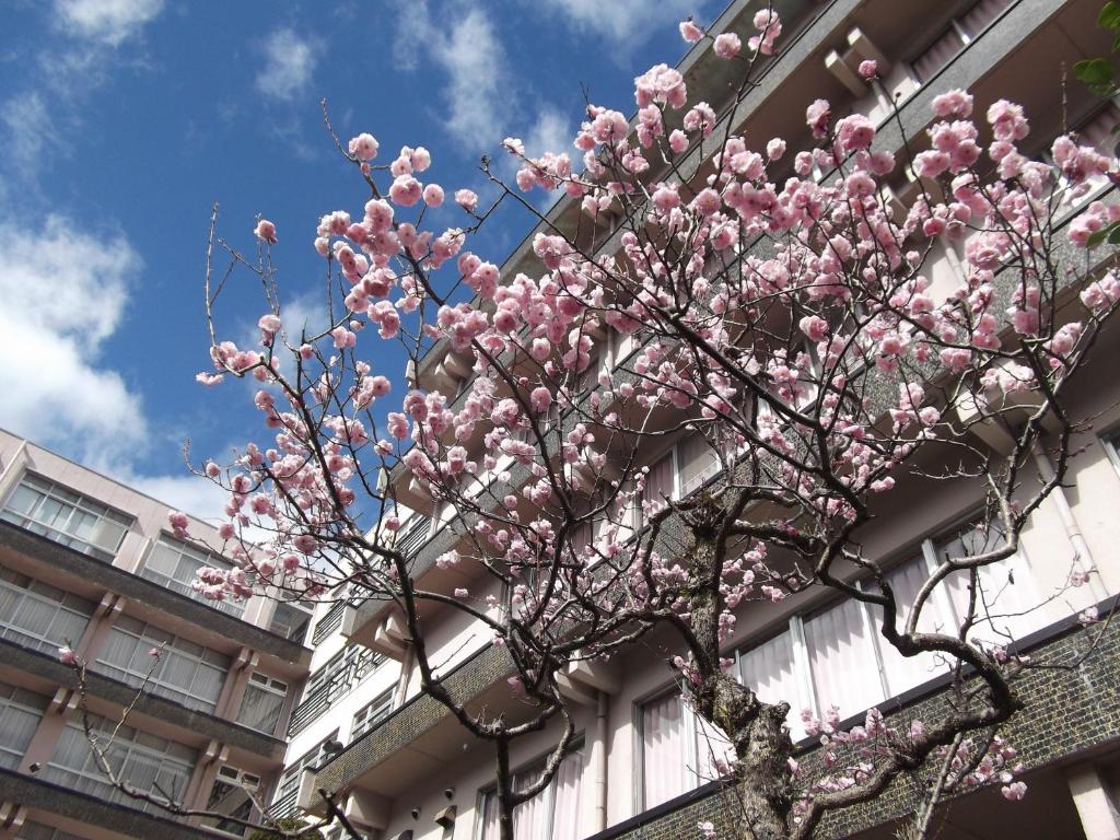 Budova, kde se ryokan nachází