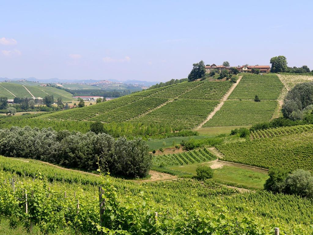 a vineyard on a hill with a house on top at Tenuta Montanello B&B in Castiglione Falletto