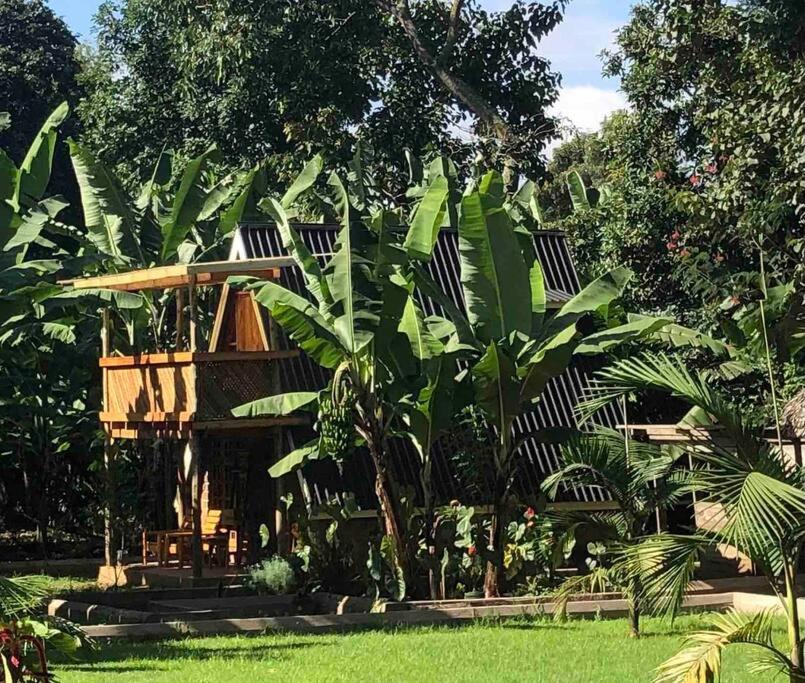 a house with a bunch of plants in a yard at Meru Eco Hideaway in Arusha