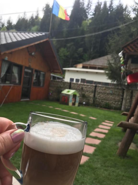Pensiunea “Casa De Acasa” - Huis Met Vier Slaapkamers