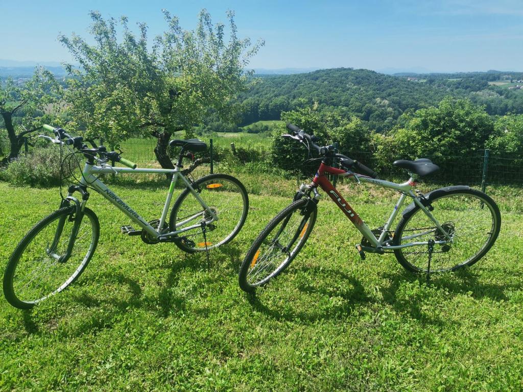 Jízda na kole v ubytování Počitniška hiša Pavlek nebo okolí