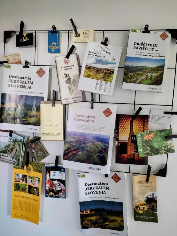 Fotografie z fotogalerie ubytování Počitniška hiša Pavlek v destinaci Ivanjkovci