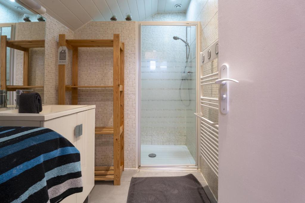 a small bathroom with a shower in a room at Gite du Moulin in Saint-Laurent-dʼAndenay