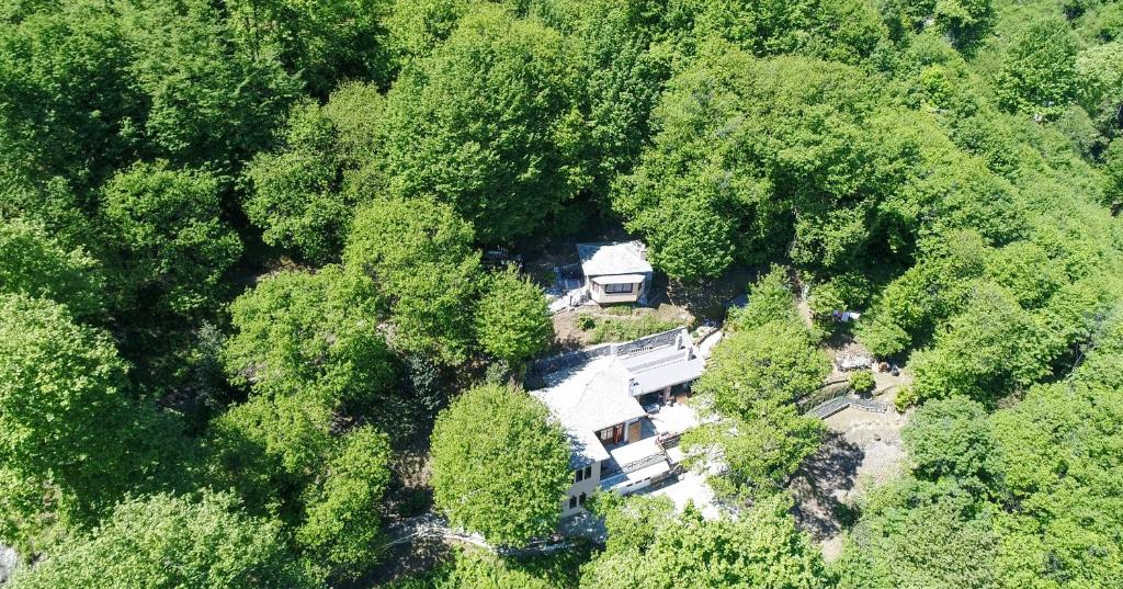 an aerial view of a house in the middle of a forest at The Mushroom Cottage in Anilio Pelion