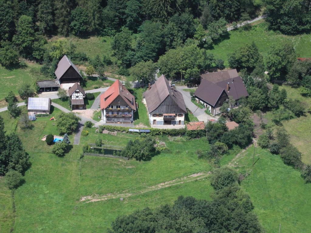 an overhead view of a house on a green field at Ferienhof Rohrbachhof in Schiltach