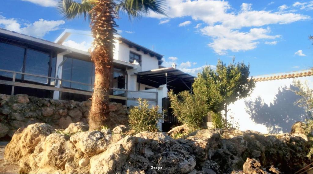 una casa con una palmera y una pared de piedra en 4 bedrooms villa with private pool and furnished terrace at Loja, en Loja