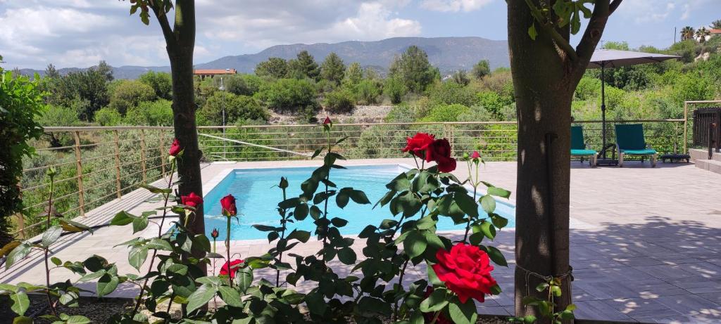 eine Pflanze mit roten Rosen neben einem Schwimmbad in der Unterkunft Roses Villa in Trimiklini