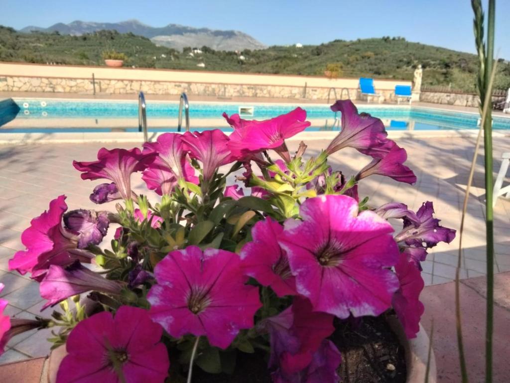 un ramo de flores rosas sentado junto a una piscina en Casale di Valle Fredda, en Itri