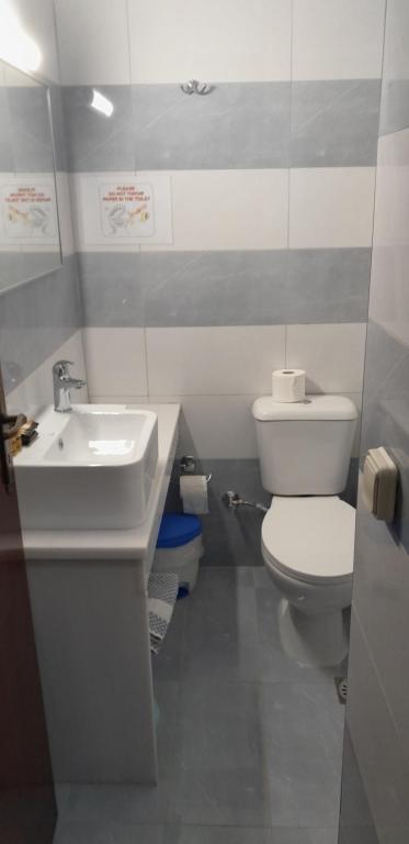 Koupelna v ubytování Asteri Hotel