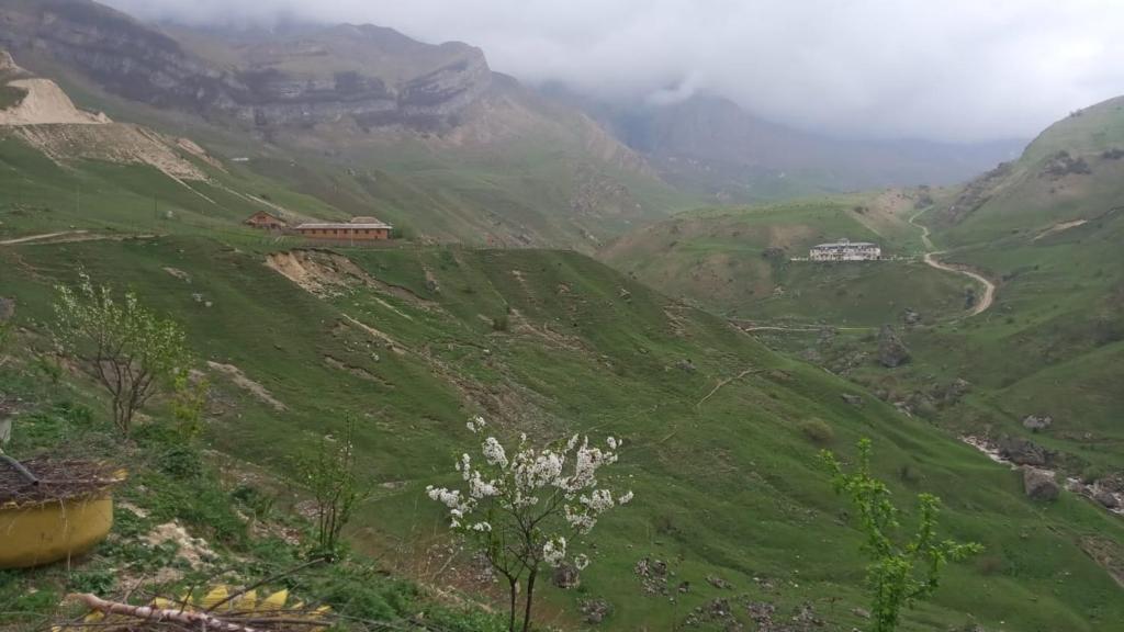 vistas a una ladera verde con un valle en Laza guest house, en Laza