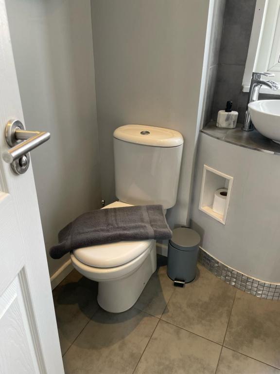 a bathroom with a white toilet and a sink at Top Floor 1 Bedroom Apartment with views over London in London