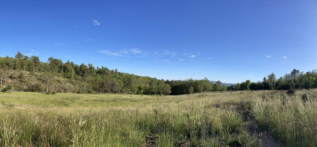 a field with tall grass and trees in the background at La Grisonne - Chalet 3 in Revest-du-Bion