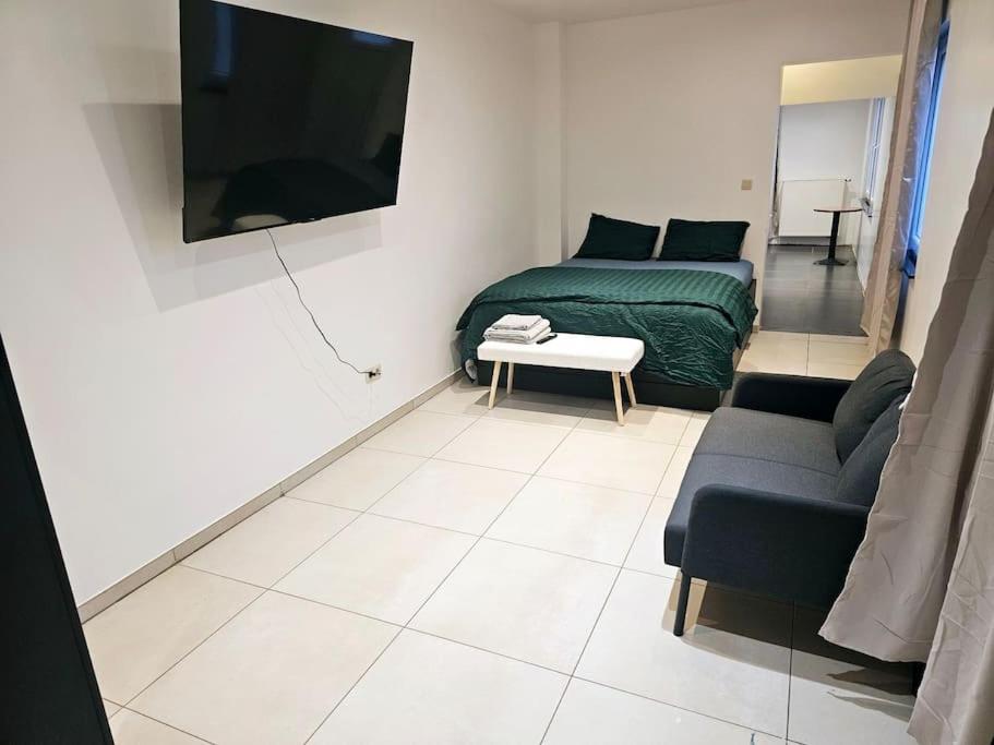 Televízia a/alebo spoločenská miestnosť v ubytovaní appartement ouvert sur une pièce