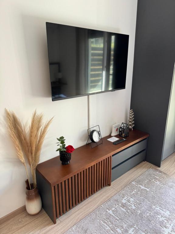 TV a/nebo společenská místnost v ubytování Apartmani Viver Vrnjačka Banja