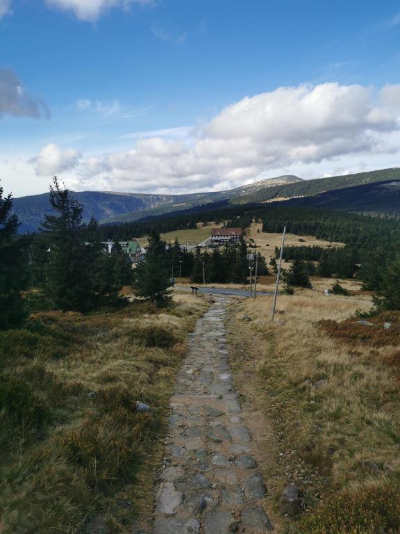 Hotel Spindlerova Bouda - Resim 22