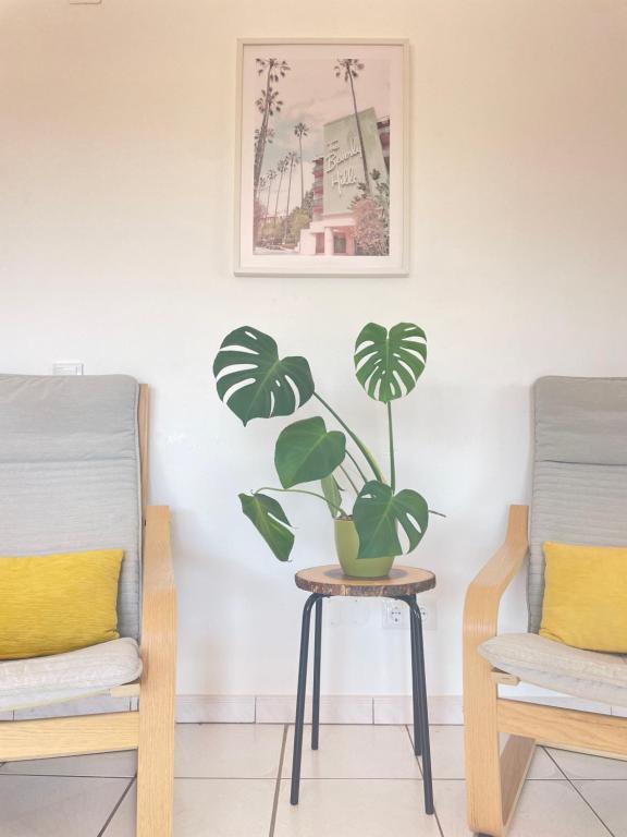 California Dream Inn - 4