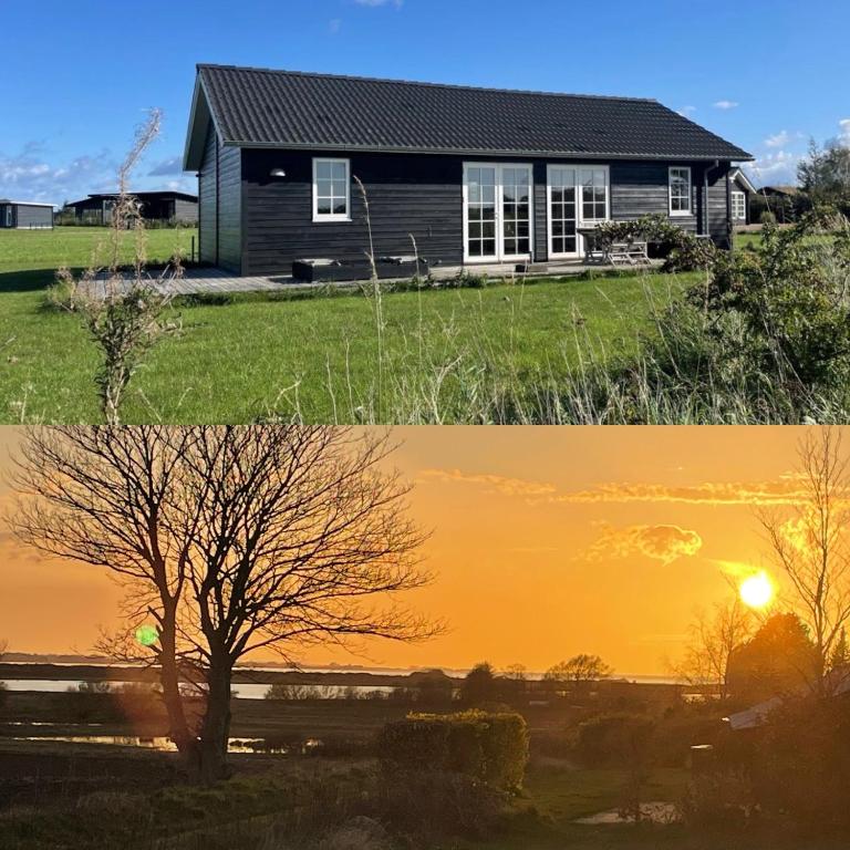 a house and a tree in the sunset at Havnsø med udsigt in Føllenslev