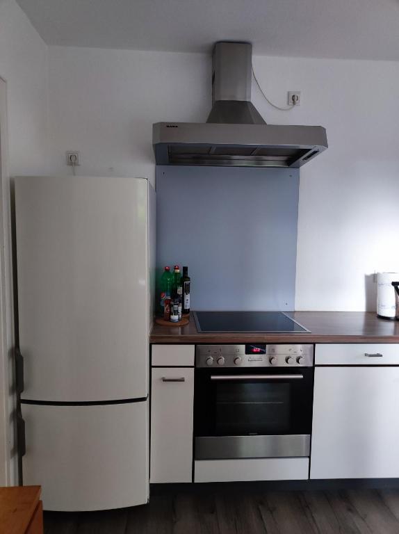 Kuchyň nebo kuchyňský kout v ubytování Ferienwohnung Sartorius