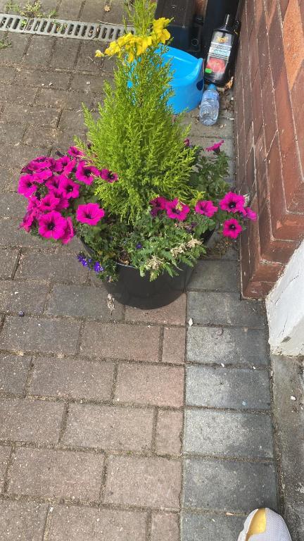 Gallery image of Midway in Hoylake