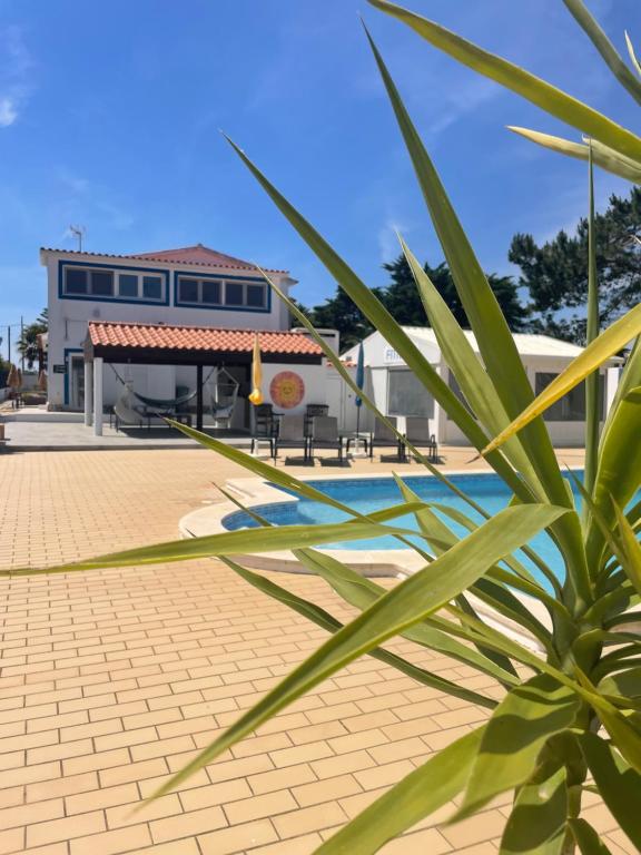 Swimmingpoolen hos eller tæt på California Dream Inn