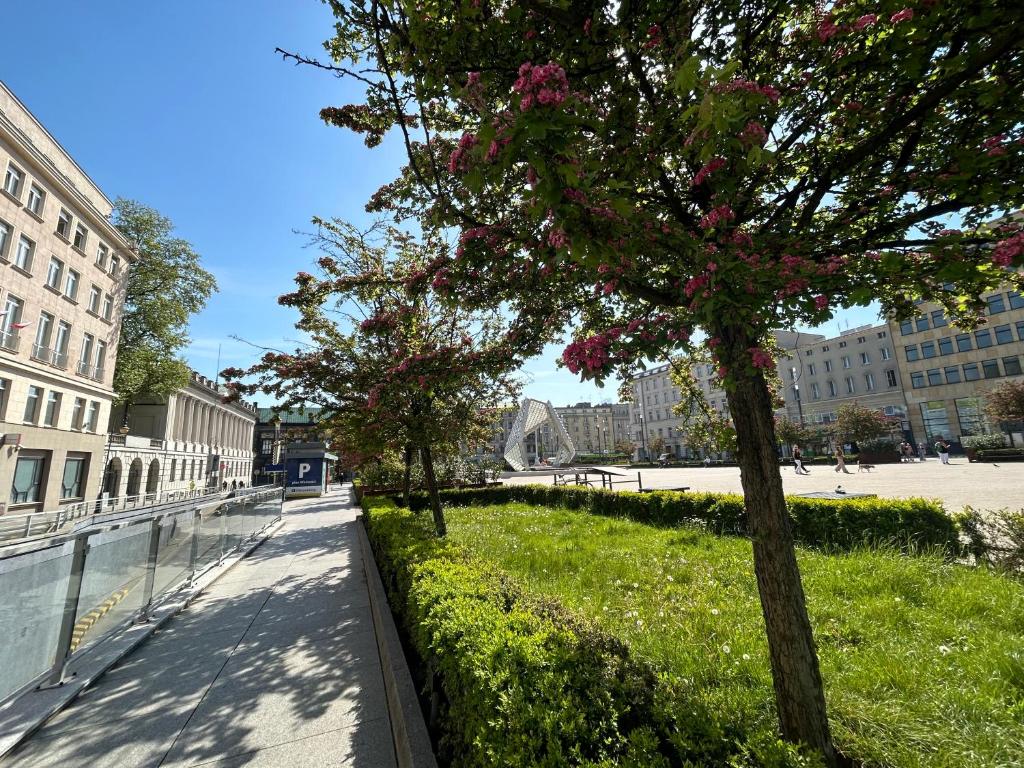 Apartamenty Pl. Wolności 6 - 17