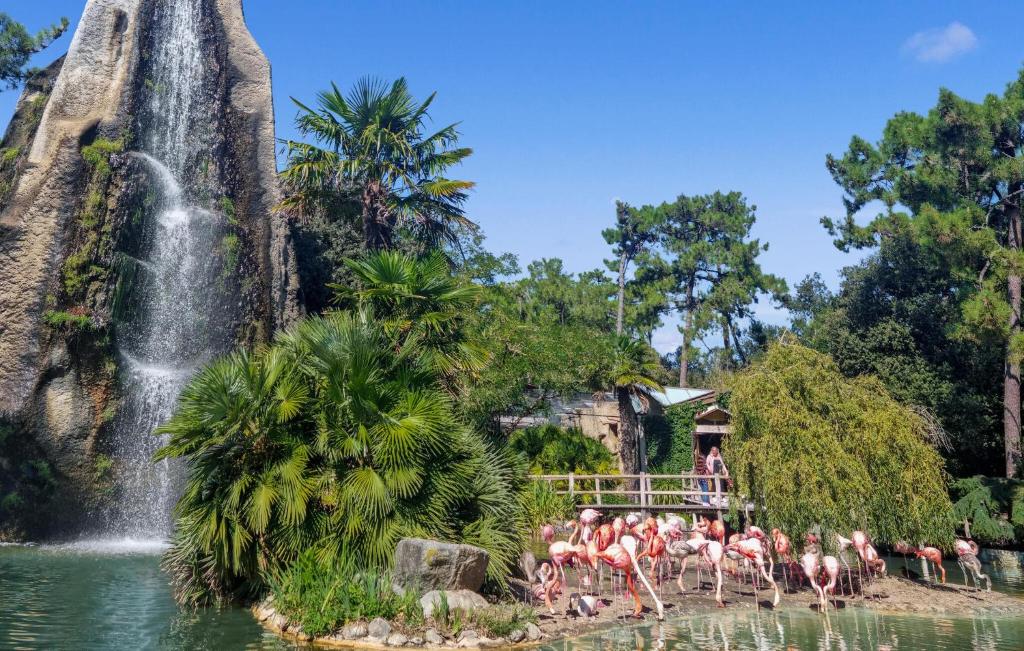 a group of flamingos standing in the water in front of a waterfall at 4 Bedroom Cozy Home In Royan in Royan